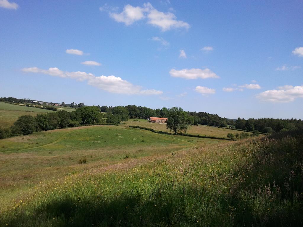 피커링 Rawcliffe House Farm 빌라 외부 사진