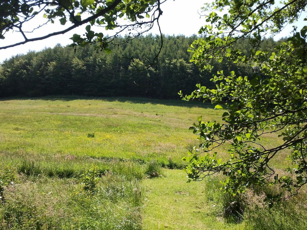 피커링 Rawcliffe House Farm 빌라 외부 사진